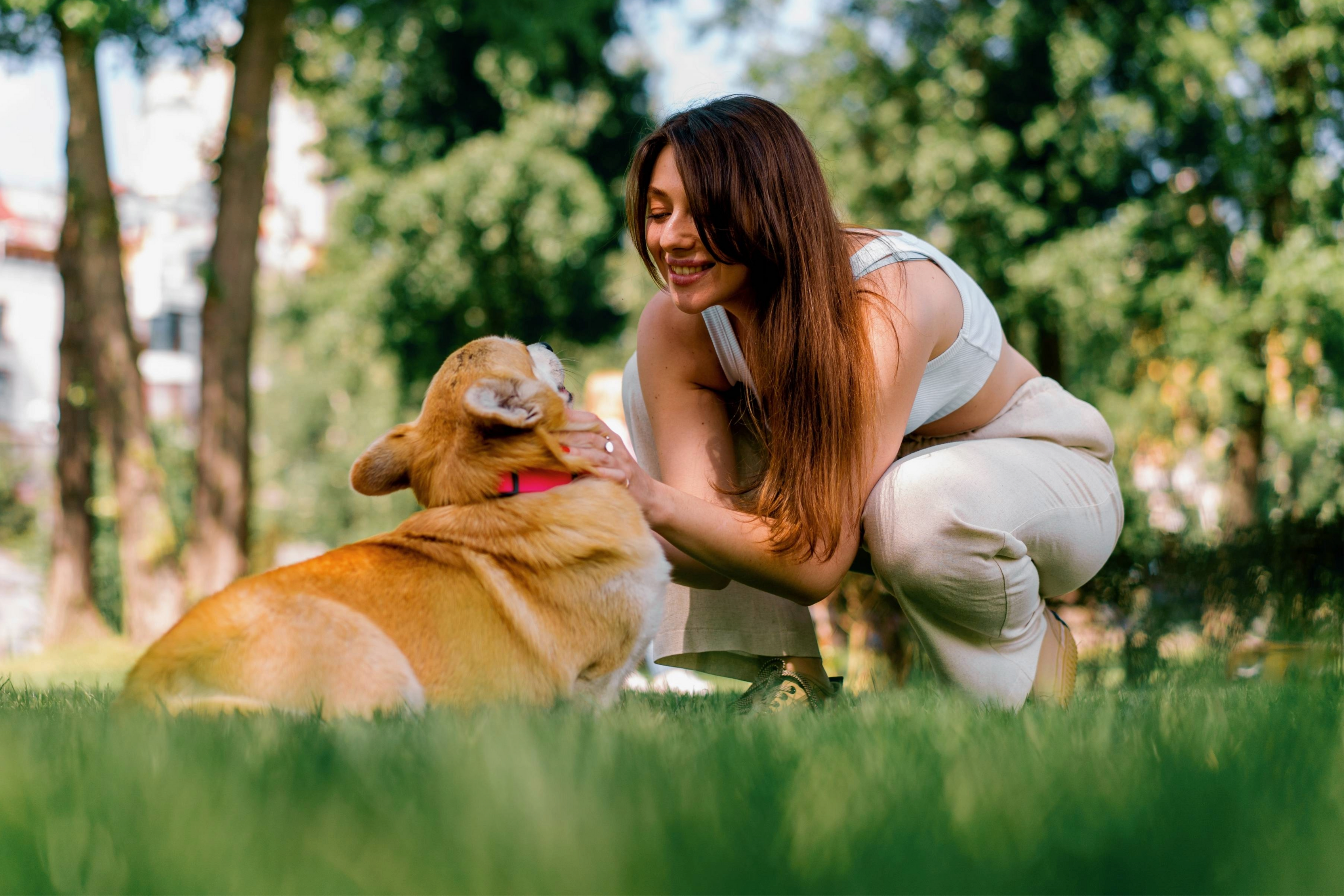 Professional dog walking in Nocatee for happy, healthy pups