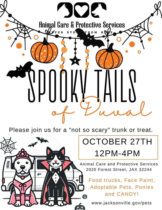 Join Us at Trunk-or-Treat at ACPS on October 27, 2024